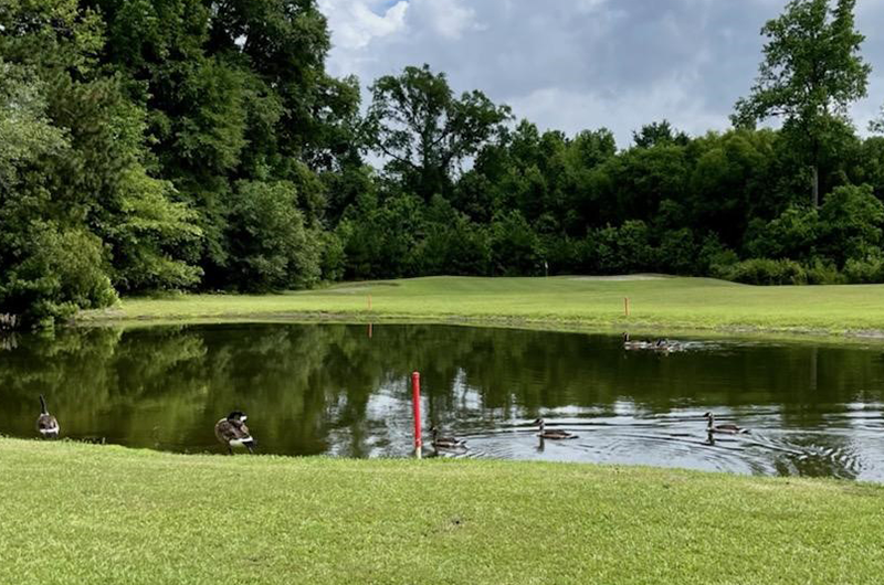 view of pond on golf course